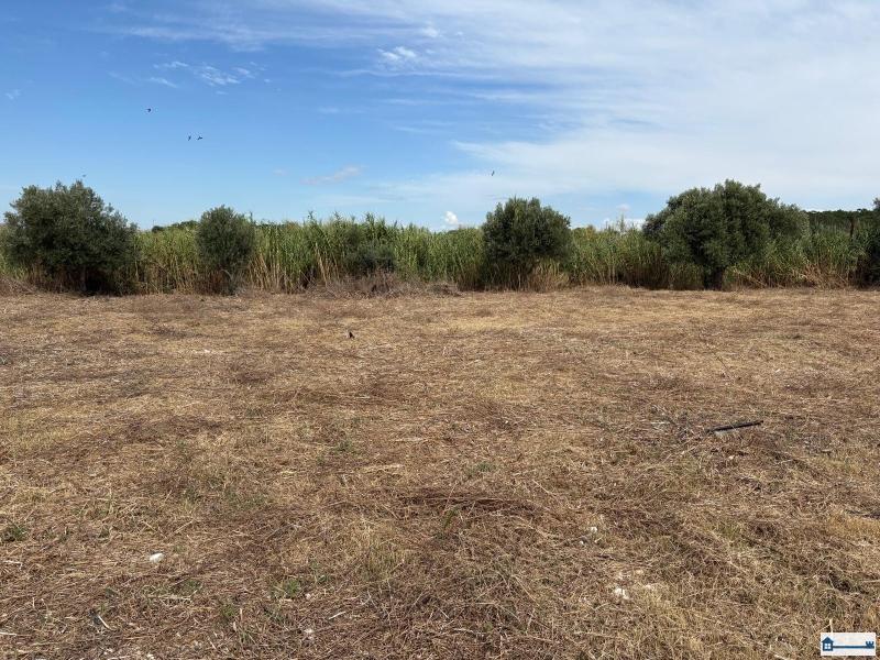 PHOTO-2025-08-20-18-38-07 (4).jpg